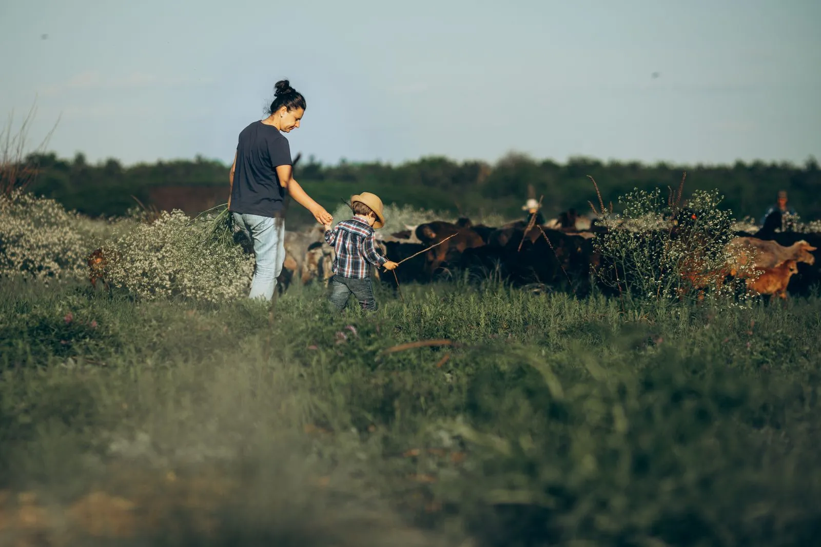 How to Start a Farm Succession Plan